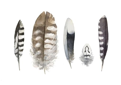 Custom Made Feathers Watercolor Painting
