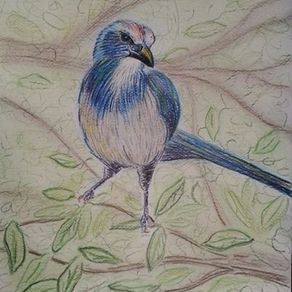 Handmade Pennsylvania State Bird And Flower by Black Leaf Studio LLC