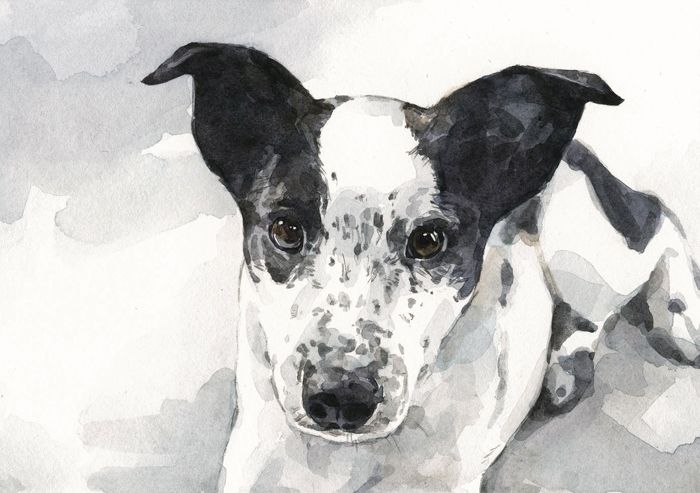 White dog hot sale watercolor