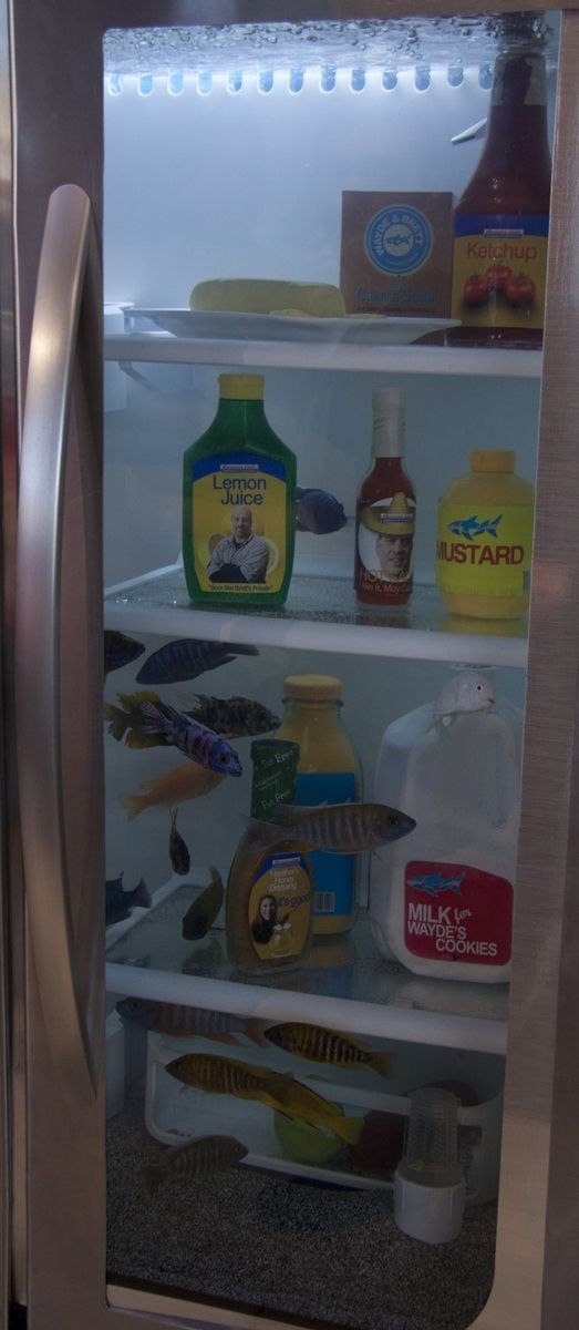 Handmade Custom Refrigerator (Fish Tank) Surround by Artisans Of The