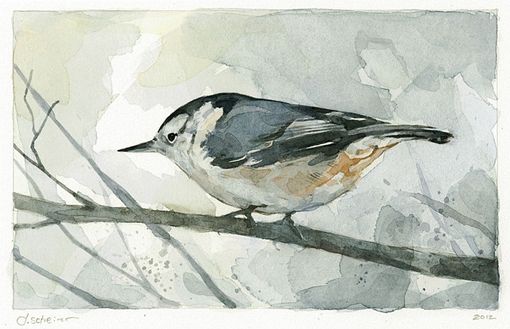 Custom Made Nuthatch Bird Watercolor Painting.
