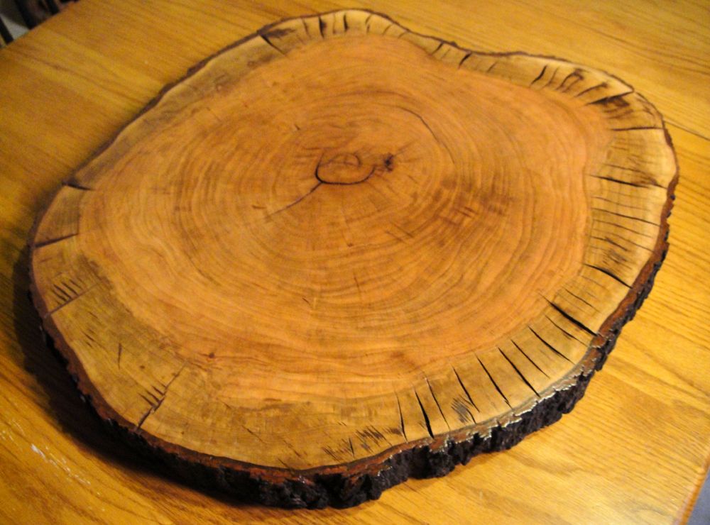 Buy a Hand Crafted Finished Solid Cherry Tree Trunk Table Top, Bench Or Functional Art Piece