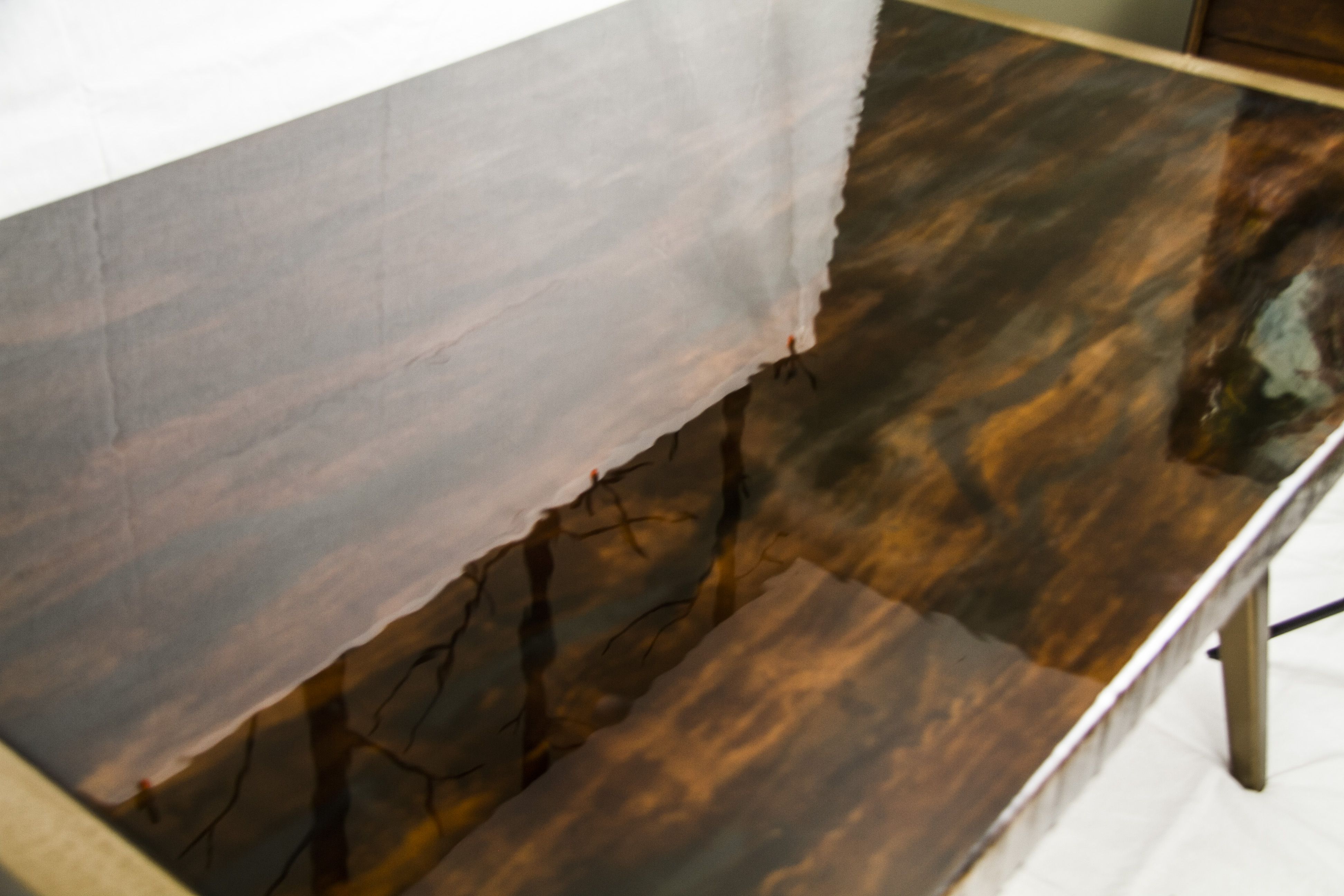 Buy a Custom Exotic Wood Grained Dining Table, made to order from Anew