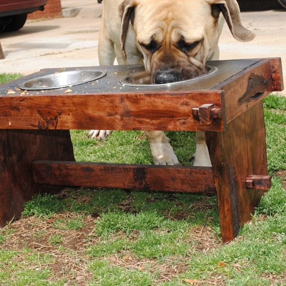 Custom Raised Dog Bowl Holder by Shigamasham Customs