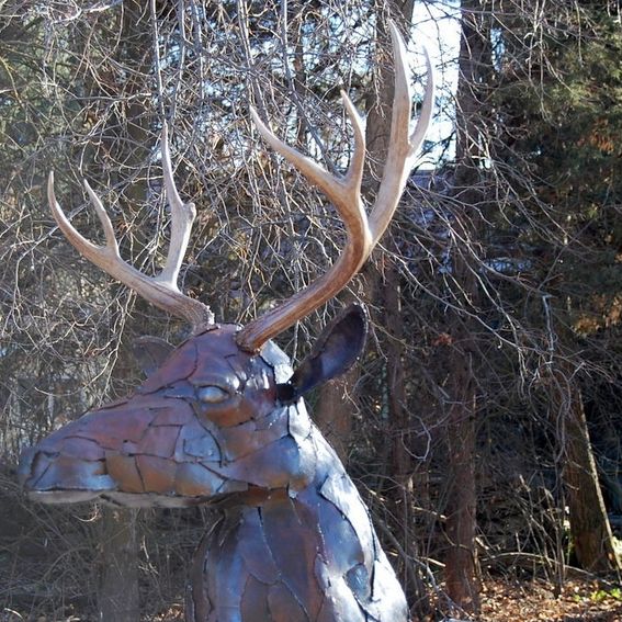 Custom Made LifeSize Metal Deer Buck by Jacob Novinger