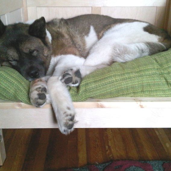 Handmade Day Bed For An Akita by Tom Jansson Custom Woodworking