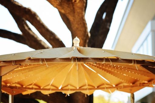 Custom Made Wedding Canopy