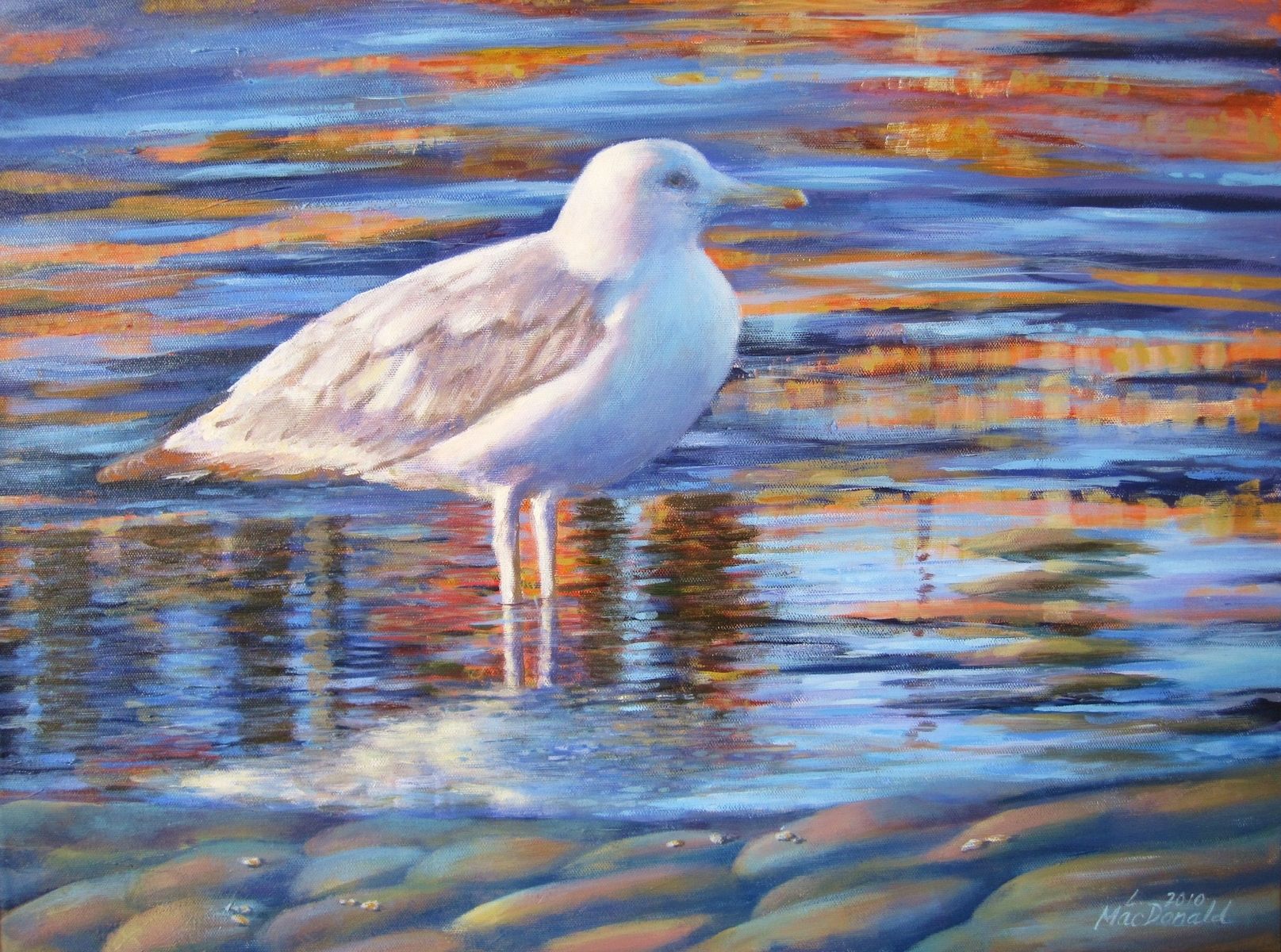 Custom Impasto Painting Seagull by Lori Macdonald Fine