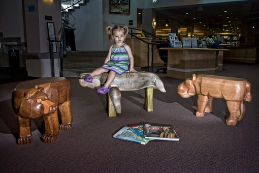Custom Made Animal Benches At Portsmouth Library
