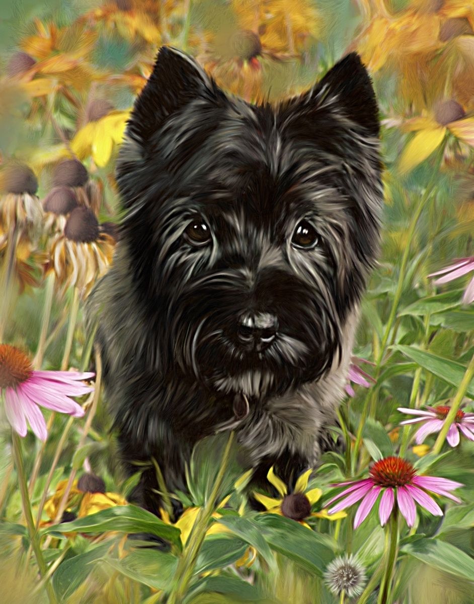 Hand Crafted Custom Pet Portrait Painting On Canvas By Mary Jill 