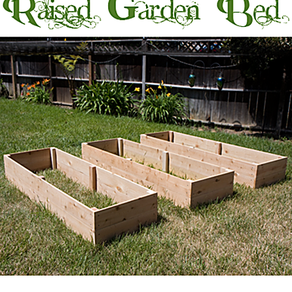 raised garden beds bed planter cedar custommade greenhouse flower custom