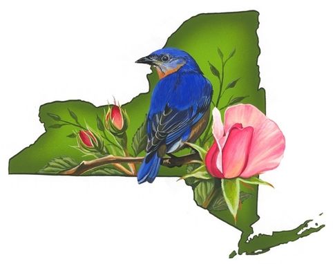 Custom Made New York State Bird And Flower