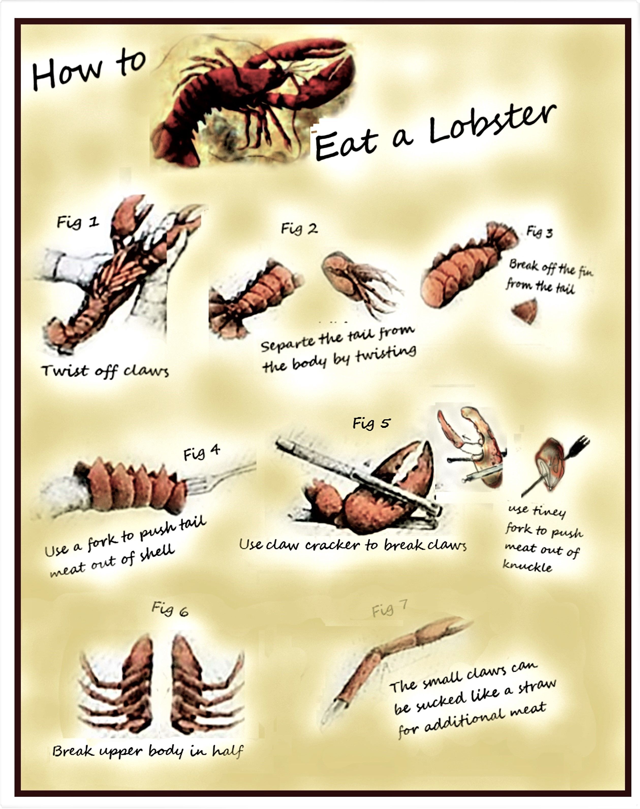 Buy Custom Rehearsal Dinner, Wedding Dinner, How To Eat A Lobster Table ...