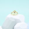 Dan's Engagement Ring 2