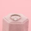 Dominique's Engagement Ring 6