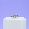 Spencer's Engagement Ring 3