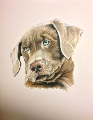 Custom Made Pet Portraits