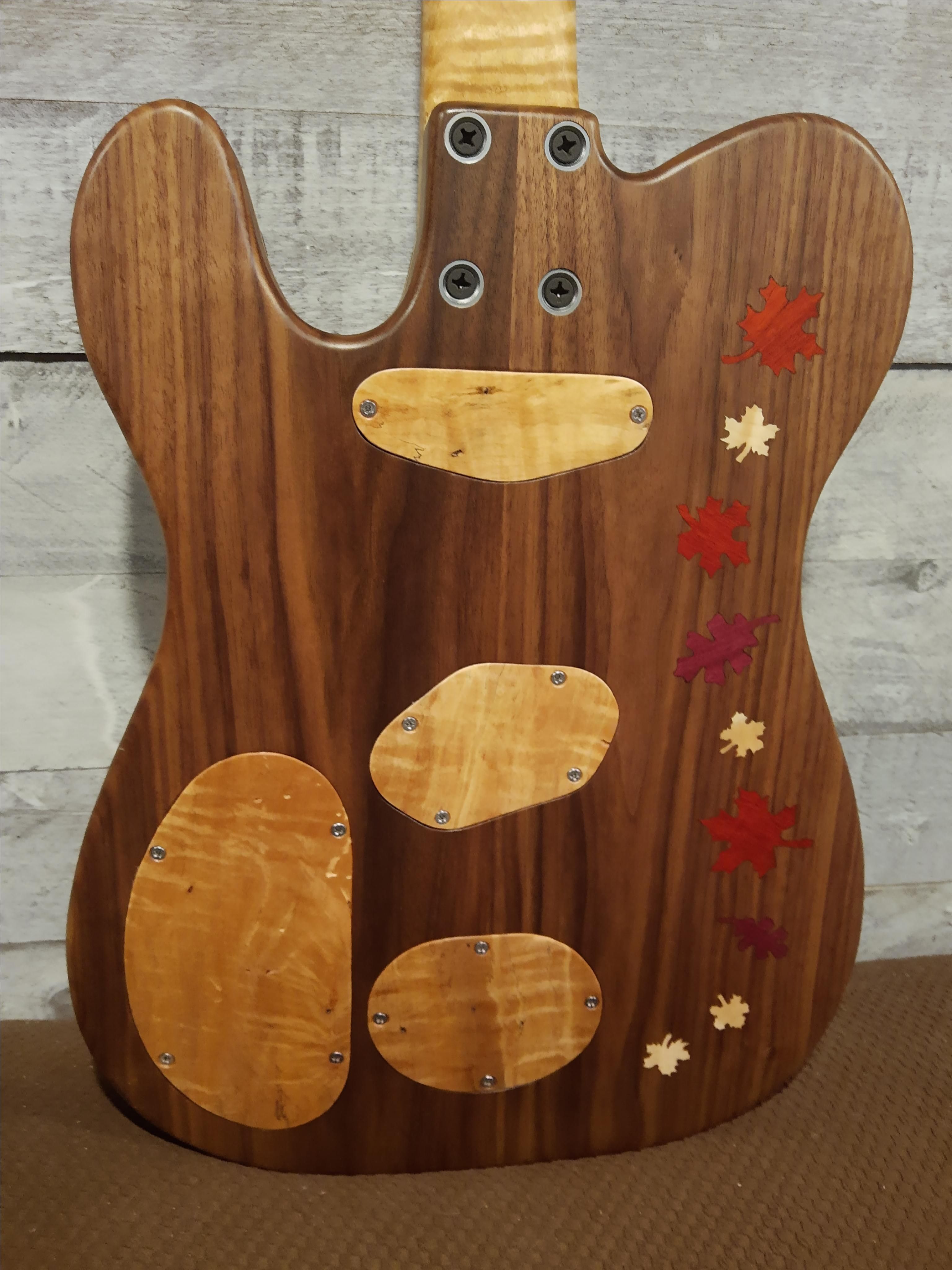 Custom Made "Roots" by JR's Custom Guitars