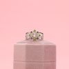 Mary's Engagement Ring 6
