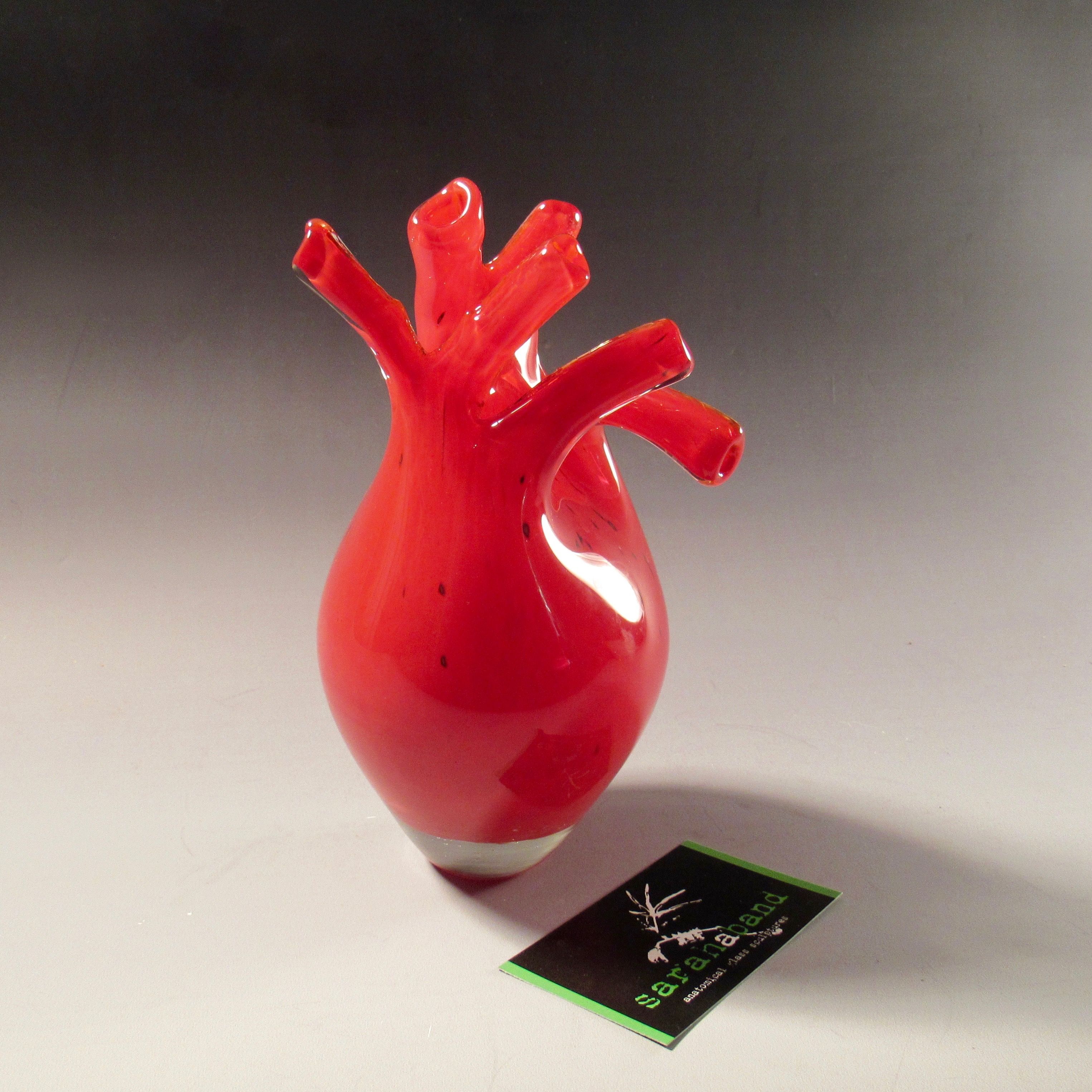 Hand Crafted Blown Glass Anatomical Hearts by Sarah A Band | CustomMade.com