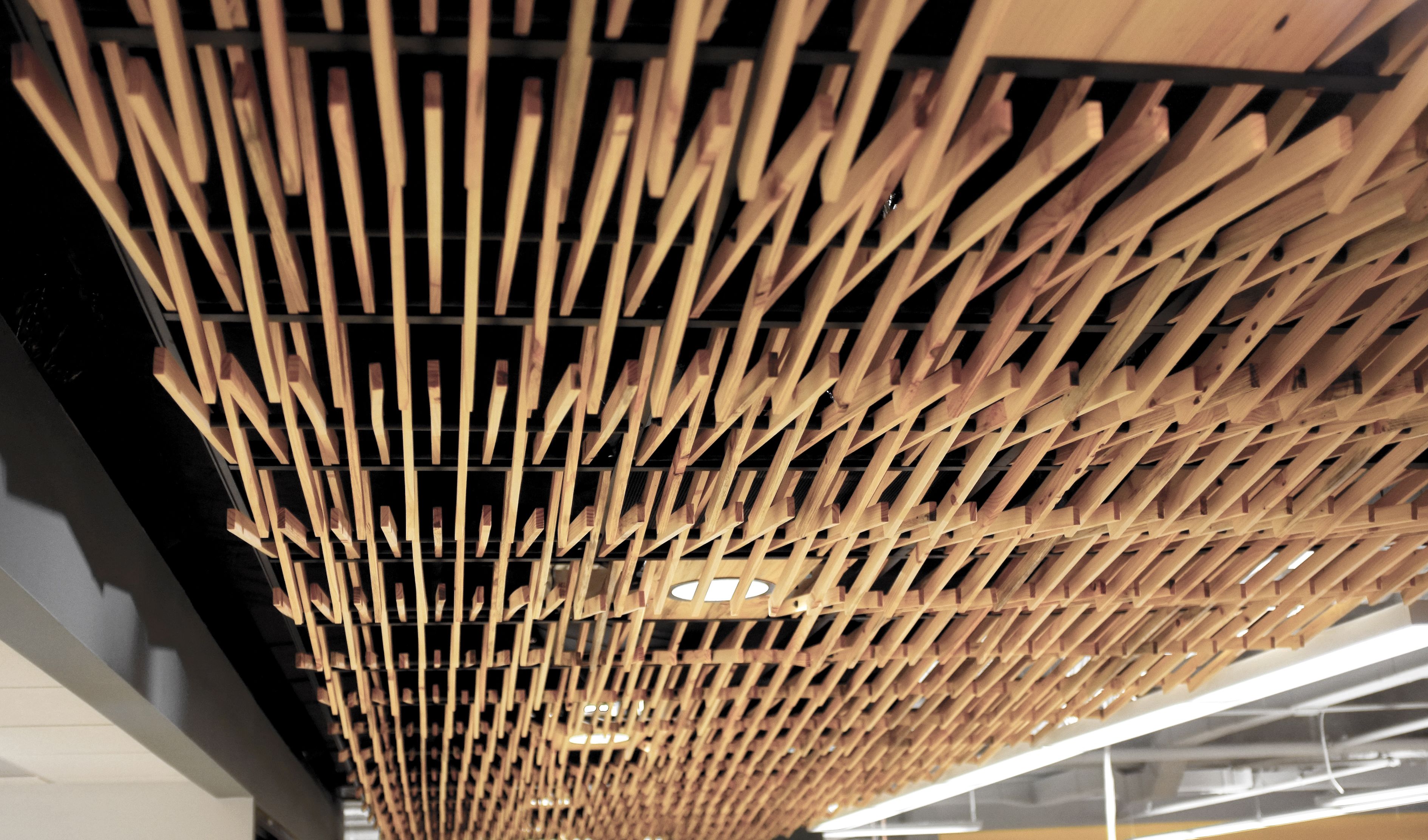 Custom Made White Pine Slat Ceiling by RUDABEGA