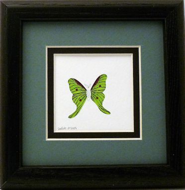 Custom Made Butterflies - Quilled Swallowtail Butterfly Miniature Wall Art Framed