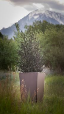Custom Made Tall Thin Planter Box
