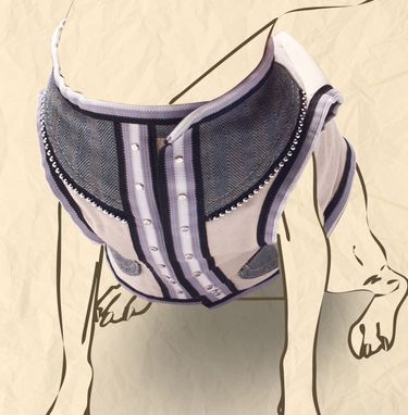 Custom Made Square Metal Rings And Hollow Rivets Black Tape Spine Design Dog Vest