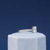 Nick's Engagement Ring 1