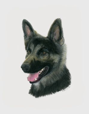 Custom Made German Shepherd - Original Pastel Illustration