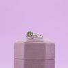 Steven's Engagement Ring 3