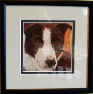 Custom Made Border Collie Art - Smooth Coated Border Collie - Dog Art Print - Giclee Framed Print 8 X 8