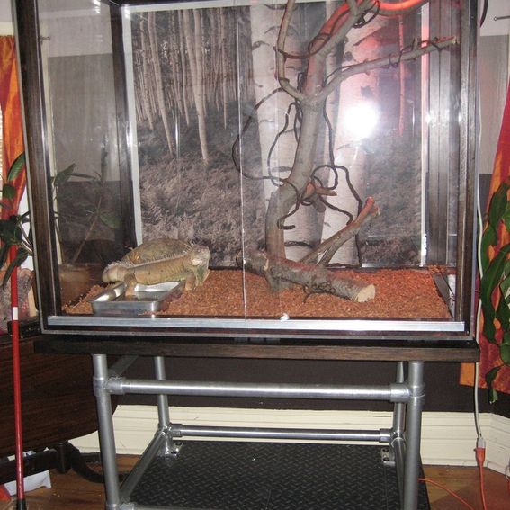 Hand Crafted Custom Exotic Pet Enclosure/ Herpetarium by Eyesoulation ...