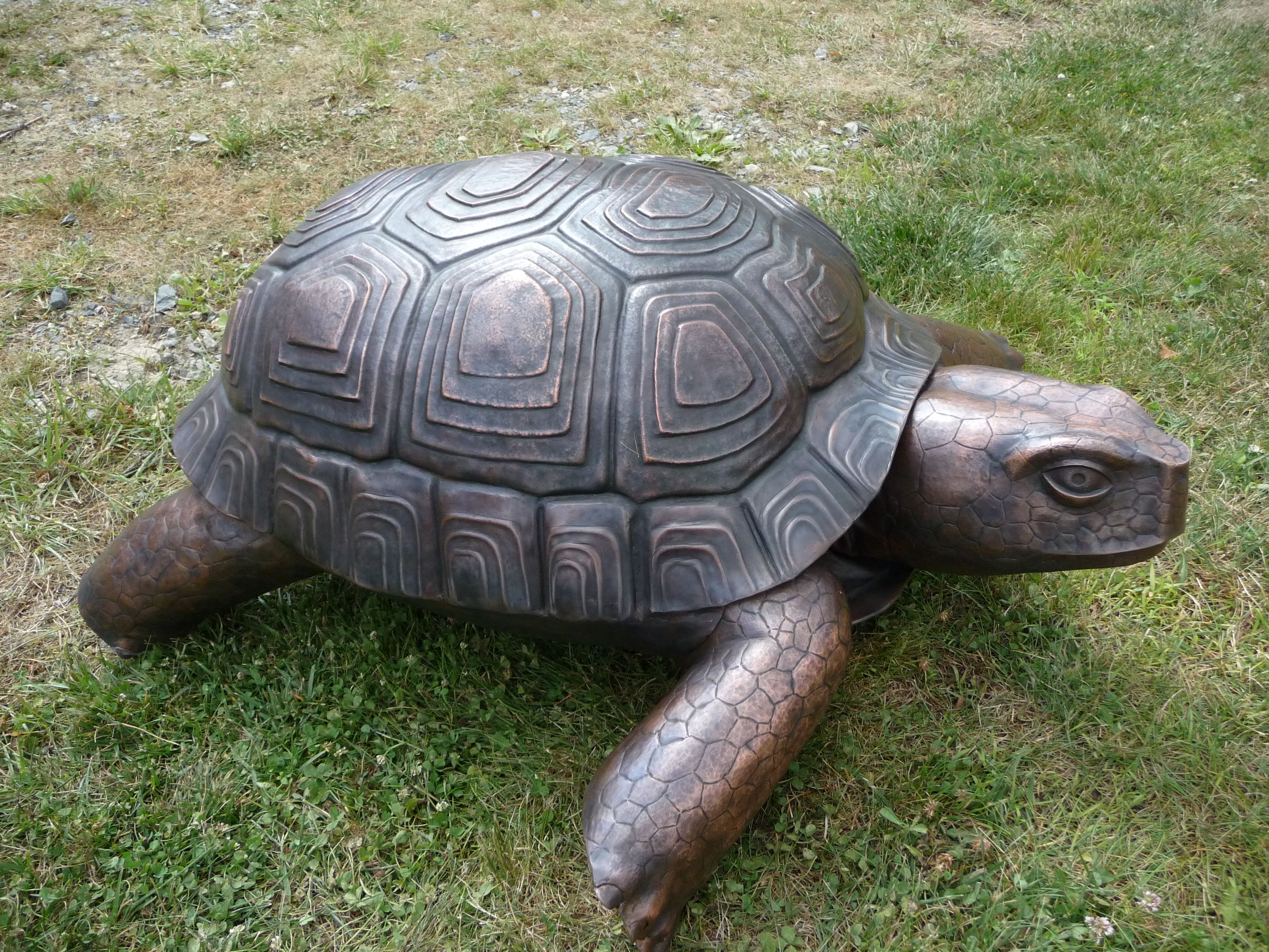 Custom Copper Tortoise Sculpture by Maronpot Studios | CustomMade.com