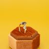 Isa's Engagement Ring 3