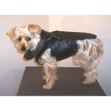 Custom Made Leather Dog Coat And Harness