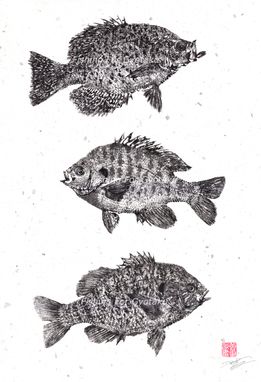 Custom Made Three Panfish Gyotaku Print - Crappie, Bluegill, Pumpkinseed - Traditional Japanese Fish Art