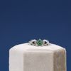Desmon's Engagement Ring 4