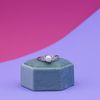 Ashley's Engagement Ring 5