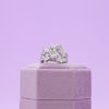 Tiff's Engagement Ring 5