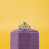 Rebecca's Engagement Ring 6