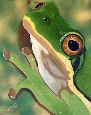 Custom Made Tree Frog Eyes Oil Painting