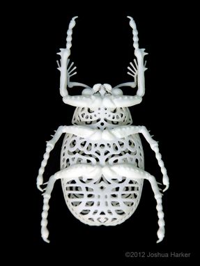 Custom Made "Coleoptera Filigre" Beetle