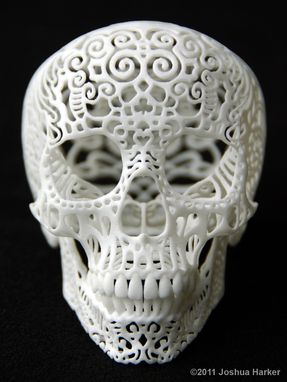 Custom Made "Crania Anatomica Filigre" Skull