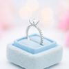 Lauren's Engagement Ring 7