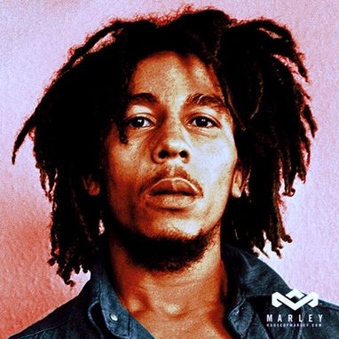 Custom Made Digital (Vector) Custom Portrait:  Sample Portrait Of Bob Marley