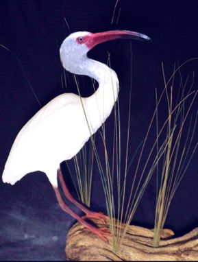 Custom Made Herons Egrets Custom Waterbirds