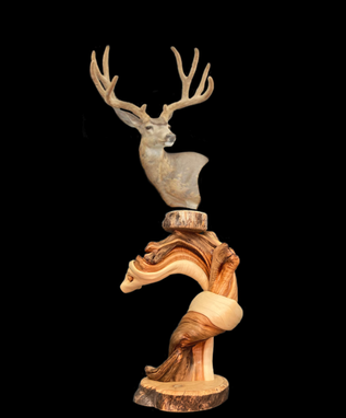 Custom Made Twisted Juniper Mule Deer Taxidermy Pedestal