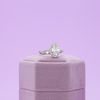 Julie's Engagement Ring 4