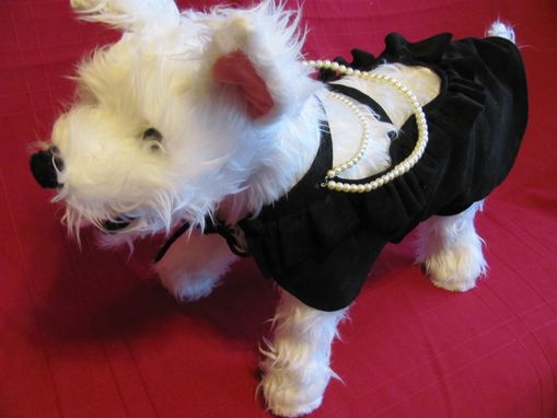 Custom Made "Little Black Dress" Suede Dog Clothes With Pearls.